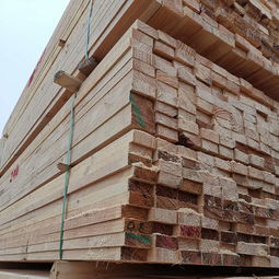 工地用澳松建筑木方加工厂 腾达木材